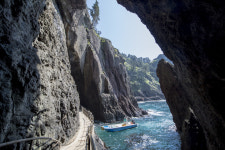 [경북 지질탐사 대장정] 6. 울릉도·독도 지질