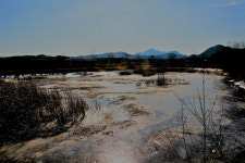 [해파랑길을 걷다] 22. 기성공용버스터미널~수산교