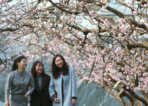 시나브로 봄이 ‘성큼’