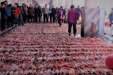 [해파랑길을 걷다] 24. 죽변등대입구~부구삼거리