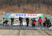 대구 달성군 화원농협, 주말농장 개장 큰 호응