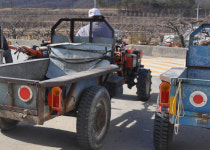 포항 장기서 경운기 몰던 60대 뒷바퀴에 깔려 사망