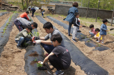 군위 의흥초 석산분교, 전교생 학교 텃밭 가꾸기 체험
