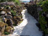 [길, 경북을 걷다] 4. 군위 한밤마을 10리 돌담길