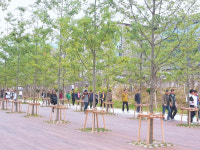 그린웨이 프로젝트, 친환경녹색도시 포항 변신