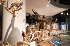 [핫플레이스를 가다] 12. 상주 경천대·경천섬