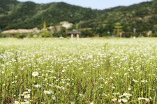 [핫플레이스를 가다] 12. 상주 경천대·경천섬