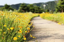 [핫플레이스를 가다] 12. 상주 경천대·경천섬