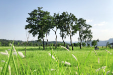 [핫플레이스를 가다] 12. 상주 경천대·경천섬