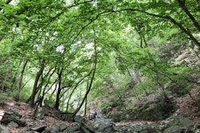 [핫플레이스를 가다] 14. 청송 주왕산 주왕동천길