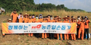 김천소방서,  지례면 교리 양파 농가 수확 작업 도와