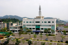 고령경찰서, 고의 고통사고 보험사기 일당 11명 검거