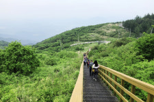 [핫플레이스를 가다] 15. 팔공산 하늘정원길