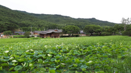[길, 경북을 걷다] 8. 경주 동남산 가는 길