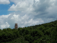 [길, 경북을 걷다] 9. 경주 남산 삼릉가는 길