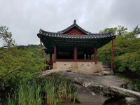 [길, 경북을 걷다] 10. 봉화 석천계곡서 닭실마을 가는 길