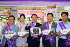 김천시, 명품 김천 포도 수도권 입맛 잡기 나서