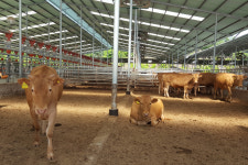 영주시, 축산발전 무허가 축사 적법화 추진