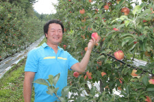 올바른 토양관리로 고품질 명품사과 재배 꿈 일궈