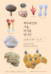 국립백두대간수목원 백두대간의 가을, 버섯을 만나다’ 특별전