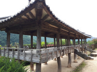 [길, 경북을 걷다] 14. 안동 병산·하회 선비길