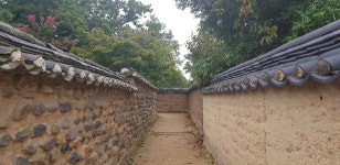 [길, 경북을 걷다] 14. 안동 병산·하회 선비길