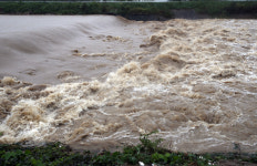 불어난 포항 칠성천 강물