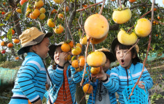 가을걷이 나선 고사리손