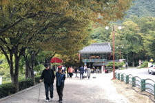 [핫플레이스를 가다] 27. 내연산 보경사 12폭포길