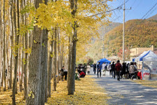 [핫플레이스를 가다] 29. 경주 도리마을