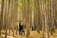 [핫플레이스를 가다] 29. 경주 도리마을