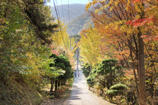 [핫플레이스를 가다] 29. 경주 도리마을