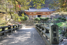 [핫플레이스를 가다] 29. 경주 도리마을