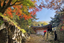 [핫플레이스를 가다] 29. 경주 도리마을