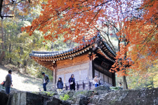 [핫플레이스를 가다] 29. 경주 도리마을