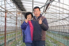 두번의 좌절 자양분 삼아 구미 칸탈로프 멜론 선구자 우뚝