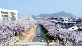 문경 모전천, 생태하천복원 우수사례 환경부장관상