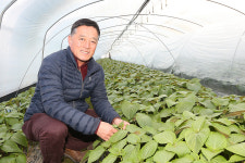 꾸준한 연구·노력으로 도시 근교 친환경 농업 1인자 우뚝