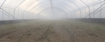 꾸준한 연구·노력으로 도시 근교 친환경 농업 1인자 우뚝