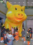 노란돼지 귀여워요