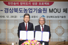 포항시·경북도농기원, 포항형 장미 육성·보급 업무협약