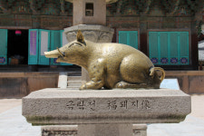 [신년특집] 12지간으로 본 기해년