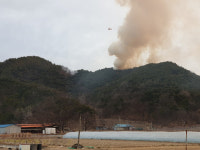 영덕군 남정면 산불 밤새 되살아나 진화 중