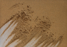 대백프라자, 국내·외 인기작가 콜렉션전