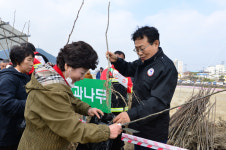 봉화군, 나무나눠주기 행사 개최