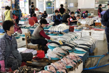 [전통시장, 그곳에 문화가 있다] 1. 포항 죽도시장