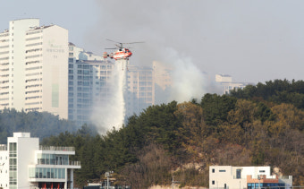[속보] 포항 두호동 철미산 산불 인근 환호공원 옮겨 번져