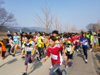 포항시장기 초등단축마라톤대회, 기계면 새마을발생지서 성료