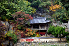 [서원] 37. 포항 입암서원