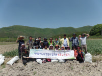 울산 중구 반구2동  주민자치위원회, 영천 임고면 농촌일손 도와